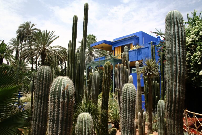 Visiter les Jardins Majorelle : une expérience inoubliable à Marrakech