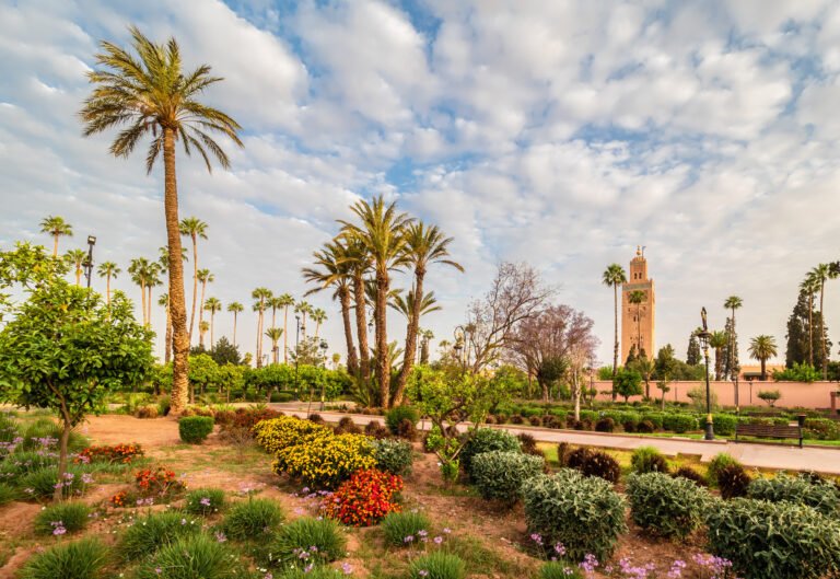 When to visit Marrakech: the best time to discover the ochre city